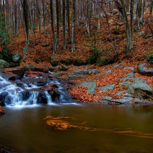 MONTSENY  INSTANTS   11-2020-1915